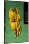 Bananas at a Fruit Stand in Dominican Republic-Paul Souders-Mounted Photographic Print