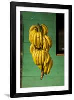 Bananas at a Fruit Stand in Dominican Republic-Paul Souders-Framed Photographic Print