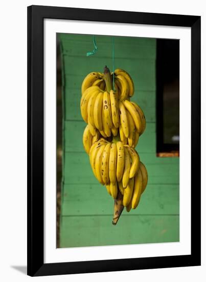 Bananas at a Fruit Stand in Dominican Republic-Paul Souders-Framed Photographic Print