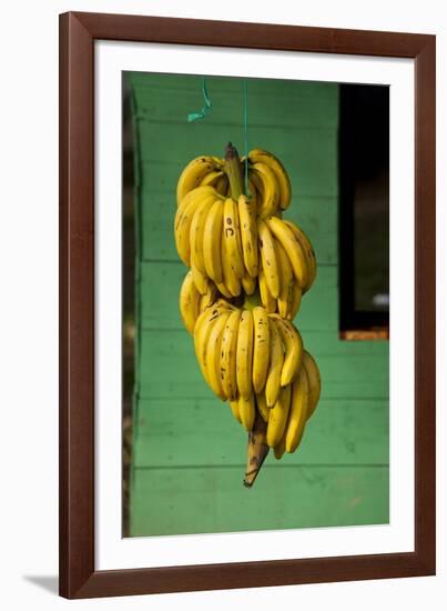 Bananas at a Fruit Stand in Dominican Republic-Paul Souders-Framed Photographic Print