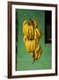 Bananas at a Fruit Stand in Dominican Republic-Paul Souders-Framed Photographic Print