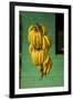 Bananas at a Fruit Stand in Dominican Republic-Paul Souders-Framed Photographic Print