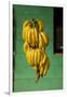 Bananas at a Fruit Stand in Dominican Republic-Paul Souders-Framed Photographic Print