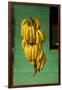 Bananas at a Fruit Stand in Dominican Republic-Paul Souders-Framed Photographic Print