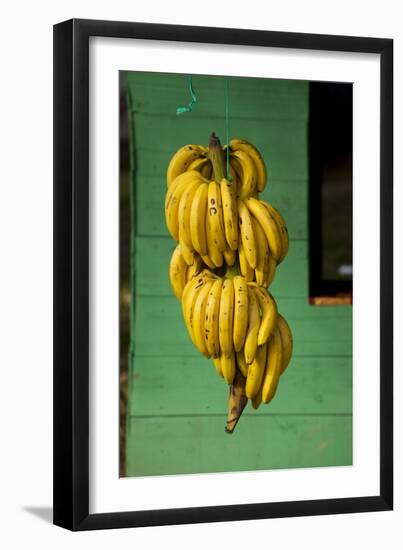 Bananas at a Fruit Stand in Dominican Republic-Paul Souders-Framed Photographic Print