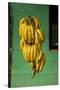 Bananas at a Fruit Stand in Dominican Republic-Paul Souders-Stretched Canvas