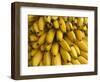 Bananas at the Saturday Market, San Ignacio, Belize-William Sutton-Framed Photographic Print