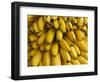 Bananas at the Saturday Market, San Ignacio, Belize-William Sutton-Framed Photographic Print