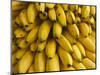 Bananas at the Saturday Market, San Ignacio, Belize-William Sutton-Mounted Photographic Print