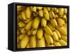 Bananas at the Saturday Market, San Ignacio, Belize-William Sutton-Framed Stretched Canvas