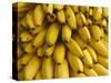 Bananas at the Saturday Market, San Ignacio, Belize-William Sutton-Stretched Canvas