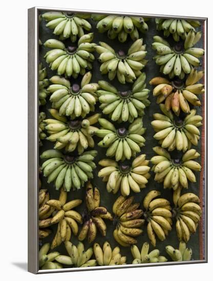 Bananas for Sale on a Market Stall, Miri, Sarawakn Borneo-Annie Owen-Framed Photographic Print
