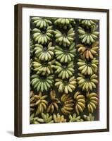 Bananas for Sale on a Market Stall, Miri, Sarawakn Borneo-Annie Owen-Framed Photographic Print