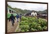 Bananas waiting to be transported, Fianarantsoa to Manakara FCE train, easterrn area, Madagascar, A-Christian Kober-Framed Photographic Print