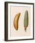 Bananas-null-Framed Art Print