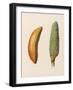 Bananas-null-Framed Art Print