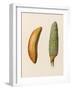 Bananas-null-Framed Art Print