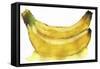 Bananas-Wolf Heart Illustrations-Framed Stretched Canvas