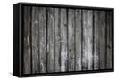 Framed Canvas