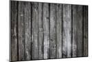Wood Mount