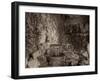 Banc de Jardin #52-Alan Blaustein-Framed Photographic Print