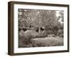 Banc de Jardin #58-Alan Blaustein-Framed Photographic Print