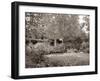 Banc de Jardin #58-Alan Blaustein-Framed Photographic Print