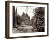 Banc de Jardin #62-Alan Blaustein-Framed Photographic Print