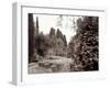 Banc de Jardin #62-Alan Blaustein-Framed Photographic Print