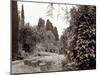 Banc de Jardin #62-Alan Blaustein-Mounted Photographic Print