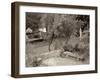 Banc de Jardin #82-Alan Blaustein-Framed Photographic Print