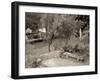 Banc de Jardin #82-Alan Blaustein-Framed Photographic Print