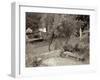 Banc de Jardin #82-Alan Blaustein-Framed Photographic Print