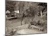 Banc de Jardin #82-Alan Blaustein-Mounted Photographic Print