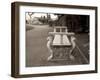 Banc de Jardin #85-Alan Blaustein-Framed Photographic Print