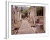 Banc de Jardin #8-Alan Blaustein-Framed Photographic Print