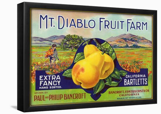 Bancroft, California, Mt. Diablo Fruit Farm Brand Pear Label-null-Framed Poster