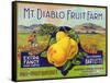 Bancroft, California, Mt. Diablo Fruit Farm Brand Pear Label-Lantern Press-Framed Stretched Canvas