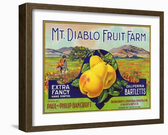 Bancroft, California, Mt. Diablo Fruit Farm Brand Pear Label-Lantern Press-Framed Art Print