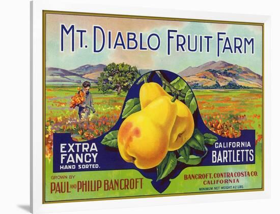 Bancroft, California, Mt. Diablo Fruit Farm Brand Pear Label-Lantern Press-Framed Art Print