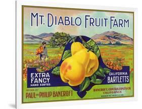 Bancroft, California, Mt. Diablo Fruit Farm Brand Pear Label-Lantern Press-Framed Art Print