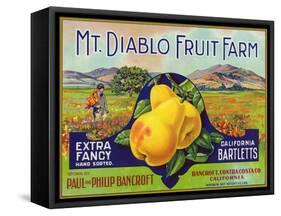 Bancroft, California, Mt. Diablo Fruit Farm Brand Pear Label-Lantern Press-Framed Stretched Canvas