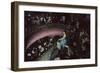 Band in Nightclub, Tokyo, Japan, 1962-Eliot Elisofon-Framed Photographic Print