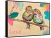 Band of Inspired Birds I (Love)-Gina Ritter-Framed Stretched Canvas