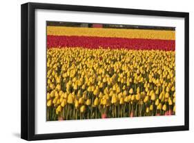 Band of Red-Dana Styber-Framed Photographic Print