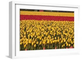 Band of Red-Dana Styber-Framed Photographic Print