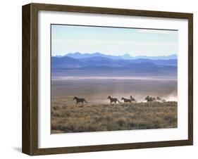 Band of Wild Horses Taking Flight Across Western Sage-Bill Eppridge-Framed Photographic Print