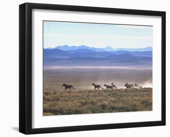 Band of Wild Horses Taking Flight Across Western Sage-Bill Eppridge-Framed Photographic Print