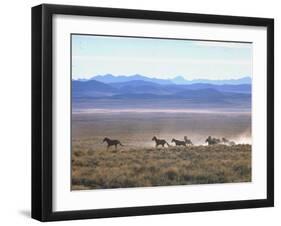 Band of Wild Horses Taking Flight Across Western Sage-Bill Eppridge-Framed Photographic Print