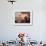 Band Playing for the Crowd in the Piazza San Marco, Venice, Italy-Janis Miglavs-Framed Photographic Print displayed on a wall